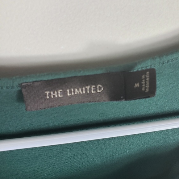 The Limited | Medium | Green Sleeveless Top - Picture 3 of 5